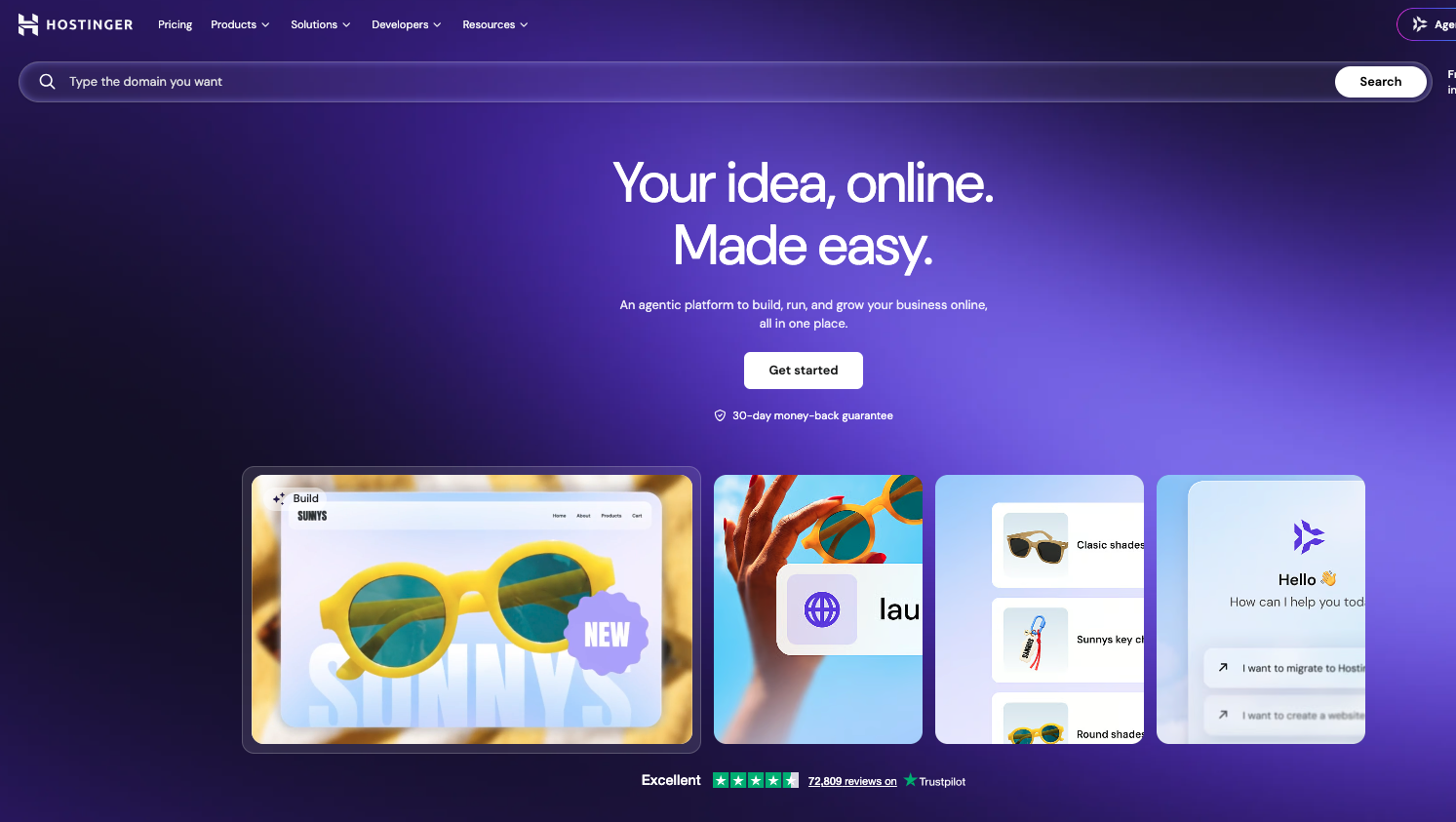 Hostinger home page