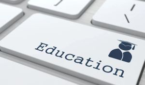 Importance of Business and IT Courses for Career Building