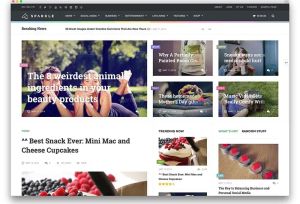 List of best Modern Tech Blog Wordpress Themes