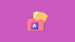 How to Export Subscribers From Beehiiv