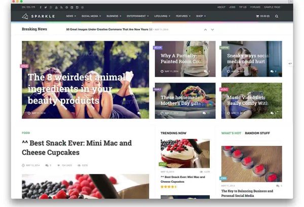 List of best Modern Tech Blog Wordpress Themes