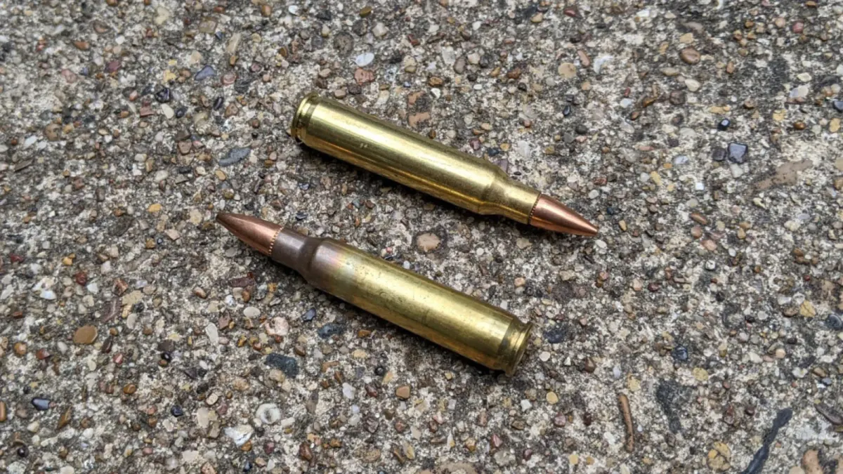 Austria Seeks 40 Million 5.56mm Rounds for Armed Forces