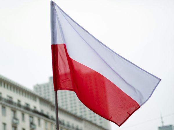 Poland and Estonia Launch Production of 10,000 Low-Cost Anti-Drone Missiles to Strengthen NATO’s Eastern Flank