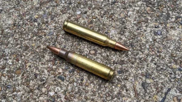 Austria Seeks 40 Million 5.56mm Rounds for Armed Forces