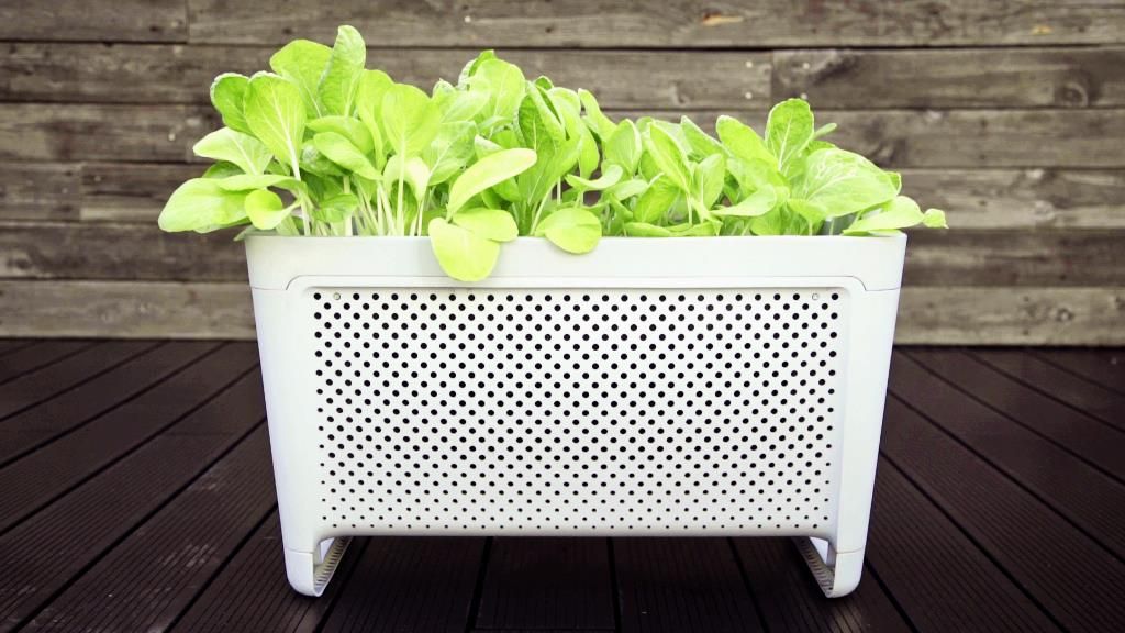 Grow Duo Smart Planter