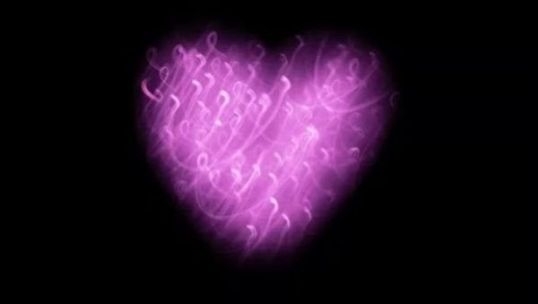 Today’s Point - Forget-Me-Not