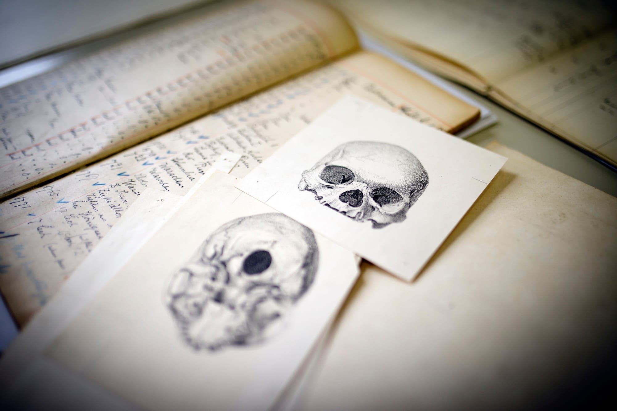 Berlin Identified The Origins of 574 Stolen Colonial Skulls. Will They Get To Go Home?