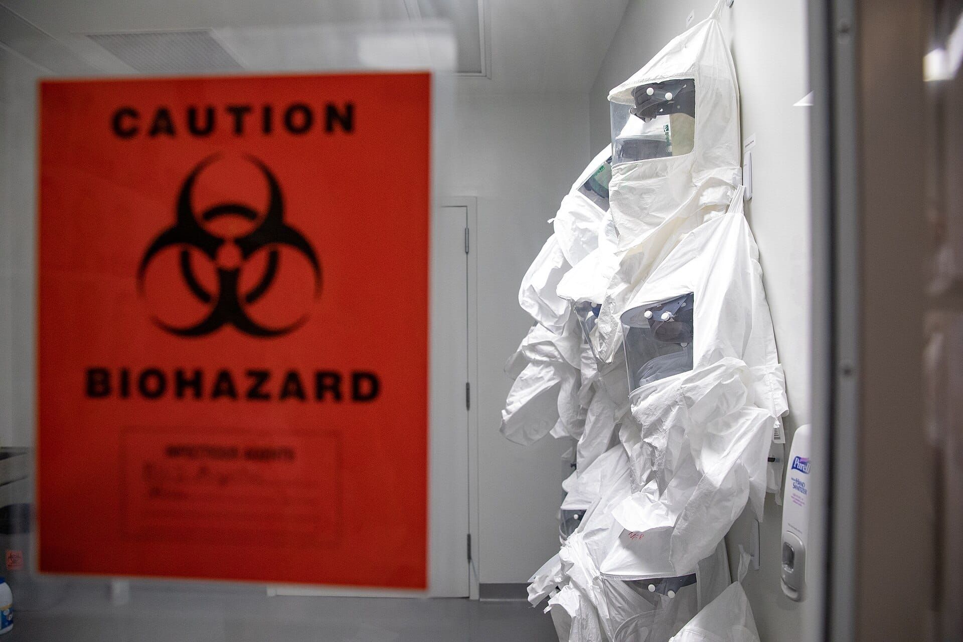 Hantavirus in Berlin: Cruise Ship Passenger To Quarantine at Charité