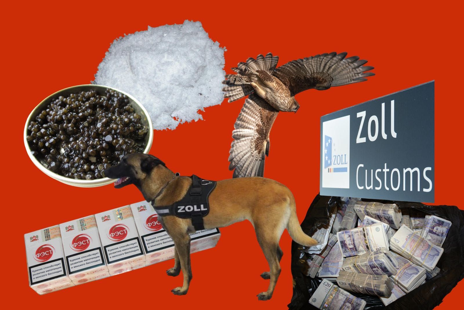 Cigarettes, Caviar, Venomous Spiders: What Gets Smuggled Through BER Customs?
