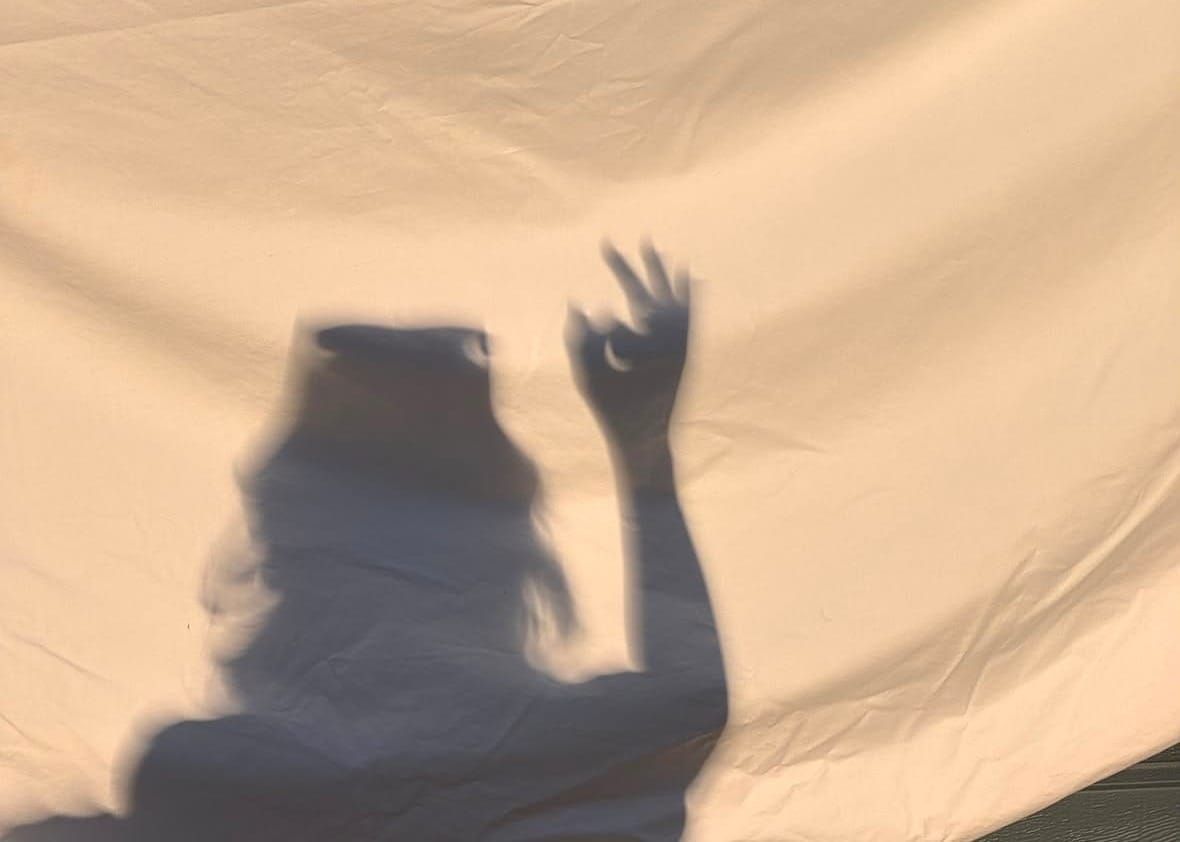 What the Solar Eclipse Looked Like from Berlin