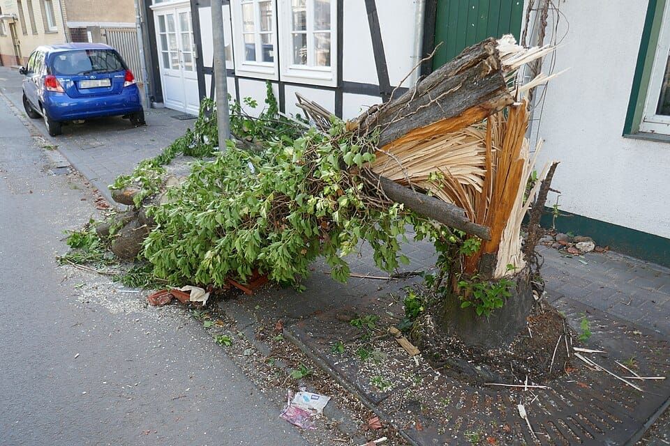 Tornado Hits Brandenburg: "Severe Damage"