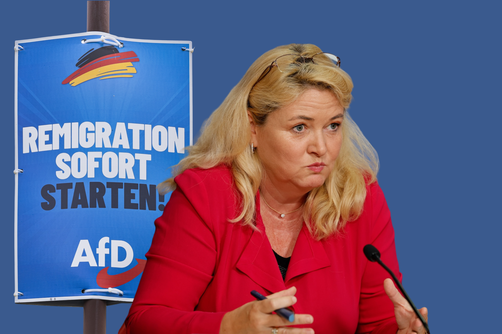 The AfD: We Would Like You All To Leave