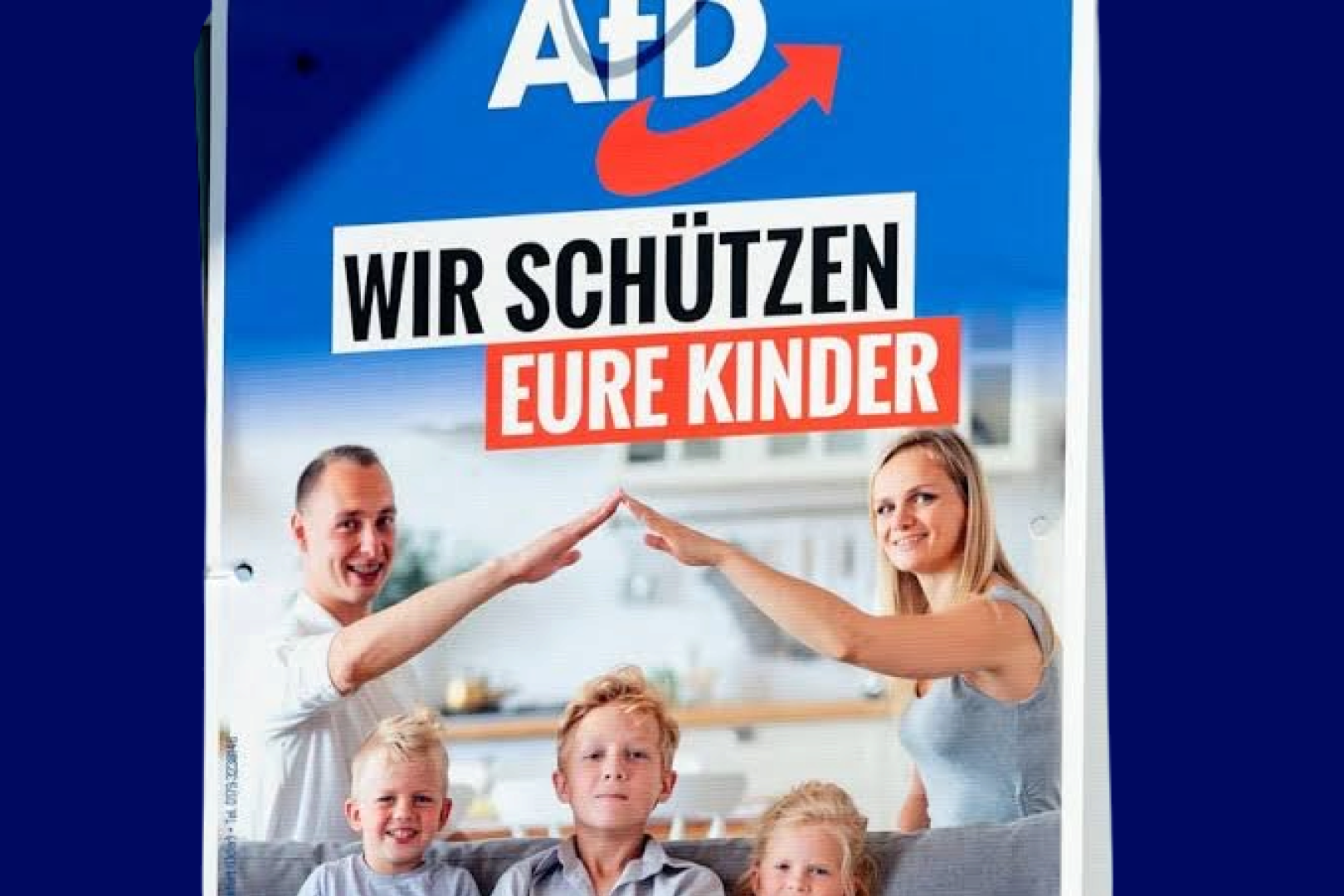 AfD Politician Loses Appeal Over Nazi Salute Poster