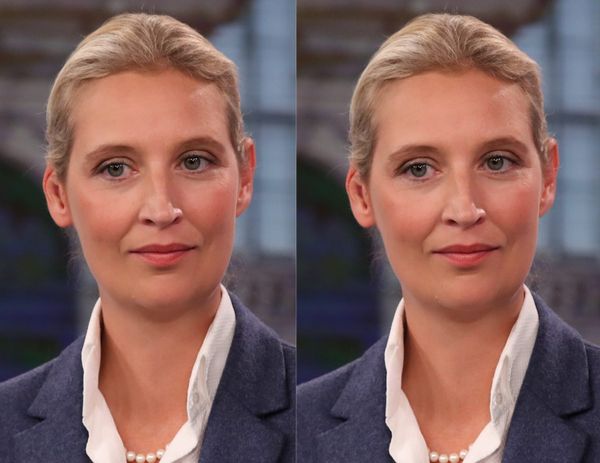 With Its Queer Rhetoric, the AfD Attempts to Swing Both Ways