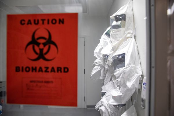 Hantavirus in Berlin: Cruise Ship Passenger To Quarantine at Charité
