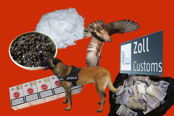 Cigarettes, Caviar, Venomous Spiders: What Gets Smuggled Through BER Customs?