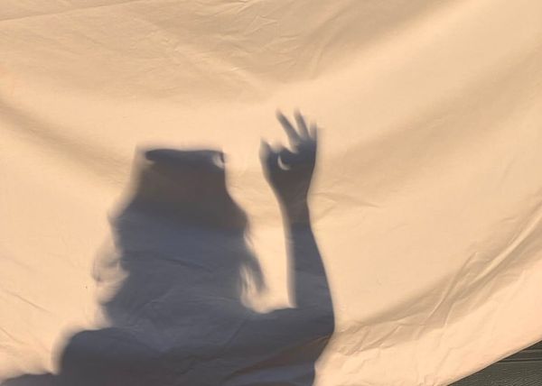What the Solar Eclipse Looked Like from Berlin