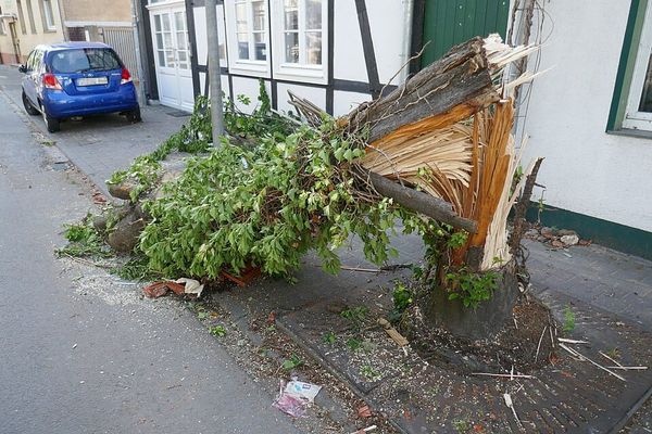Tornado Hits Brandenburg: "Severe Damage"