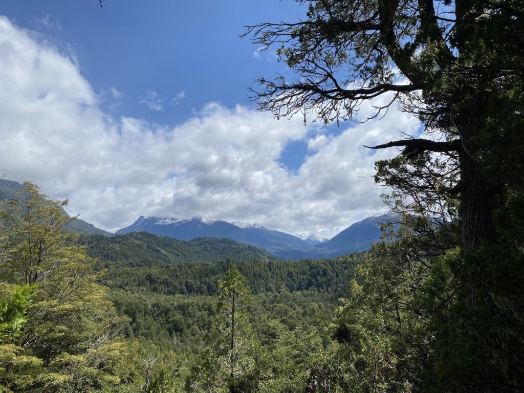 Blue sky and white clouds 