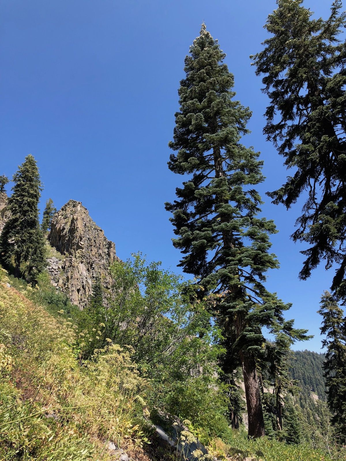 Cool rock formation.