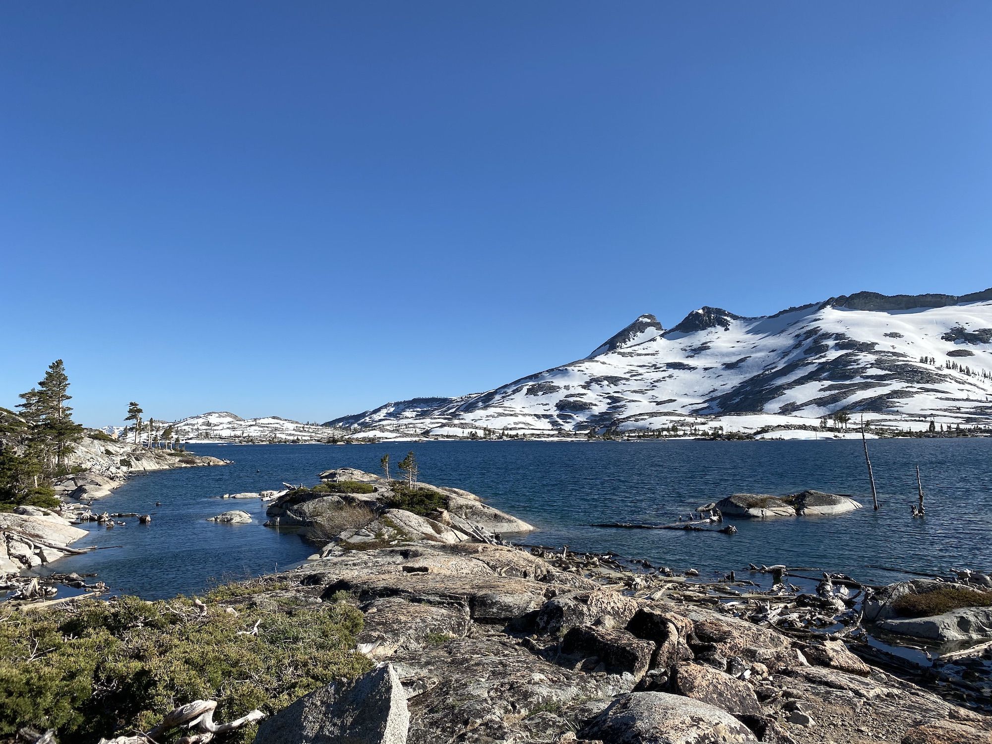 A rocky shoreline with low bushes and trees