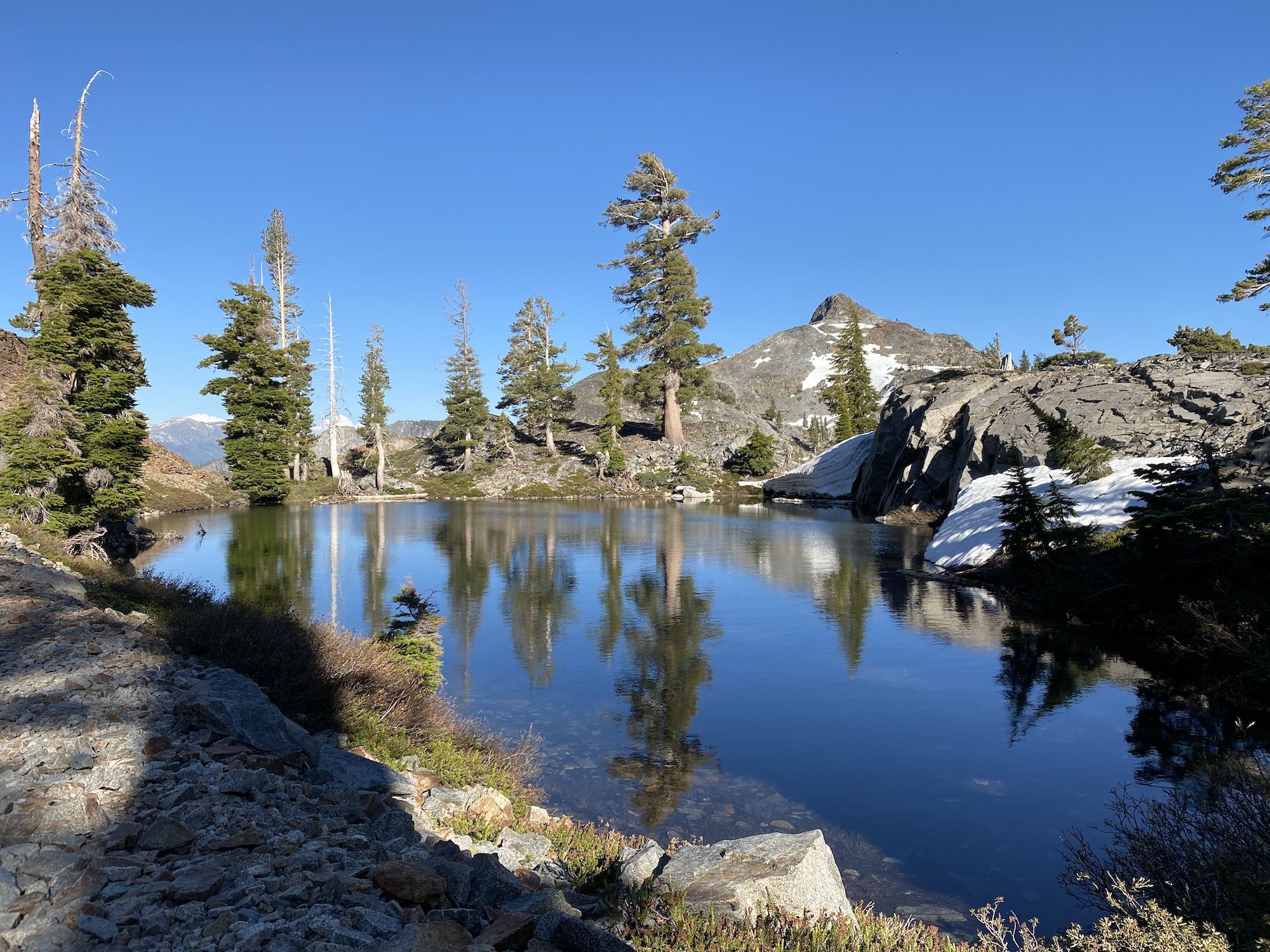 A calm pond reflecting the trees and mountains behind it