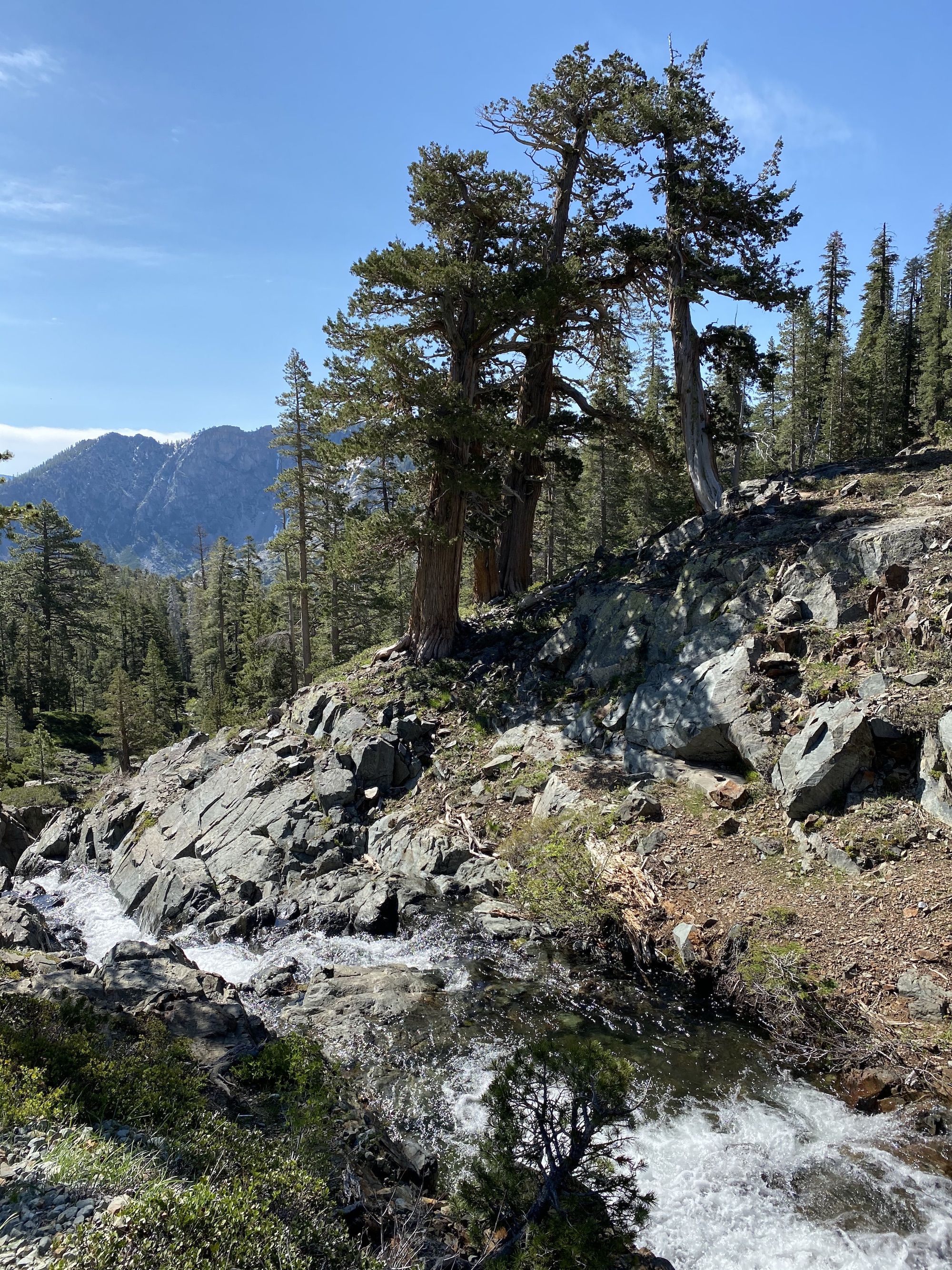 The top of a small waterfall