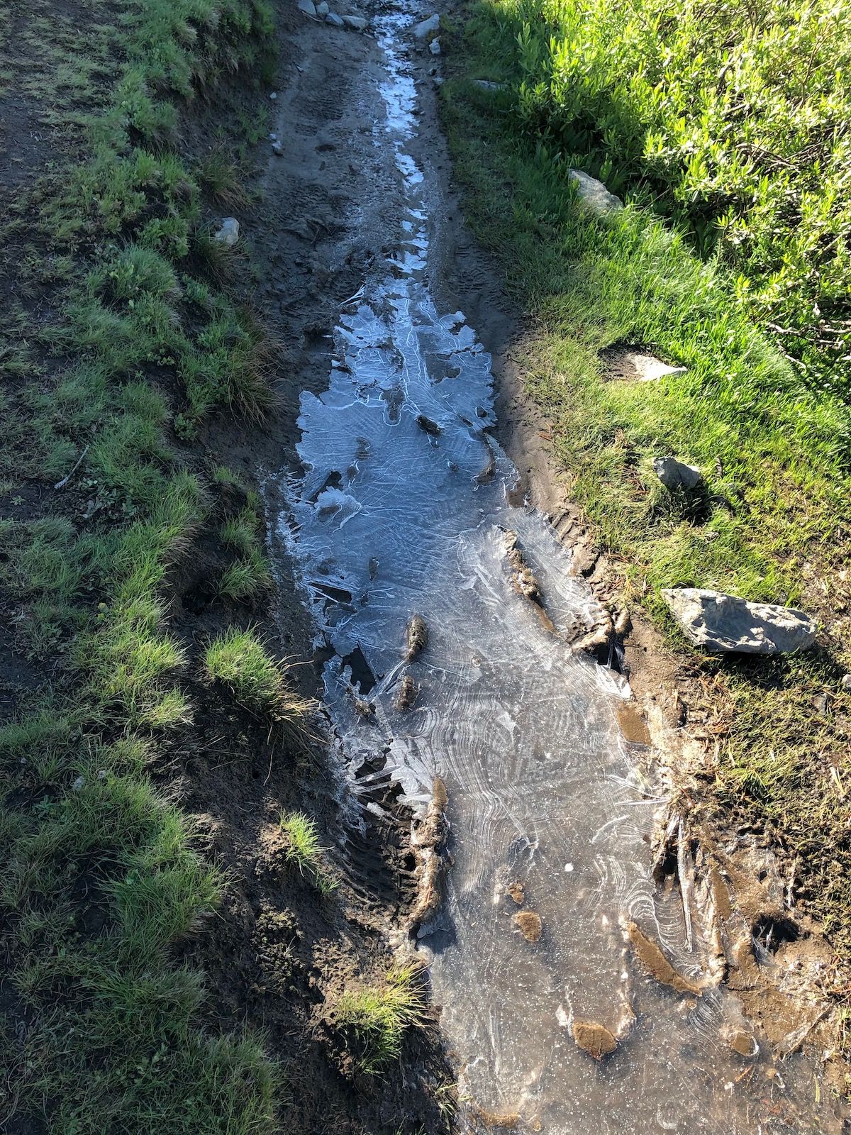 A frosty trail after a cold night.