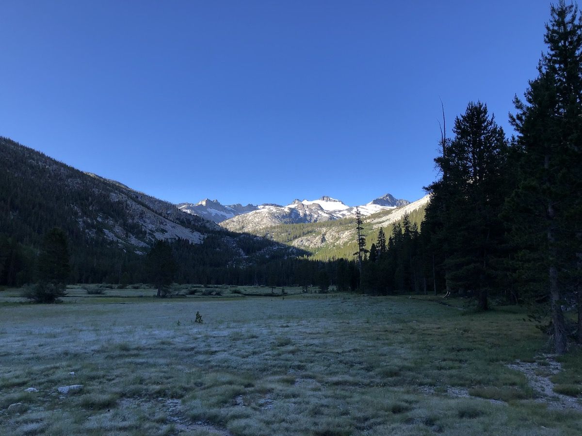 The meadow was covered in frost after a cold night.
