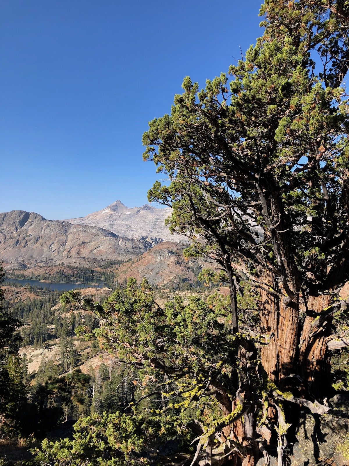 Heading up Dicks Pass.