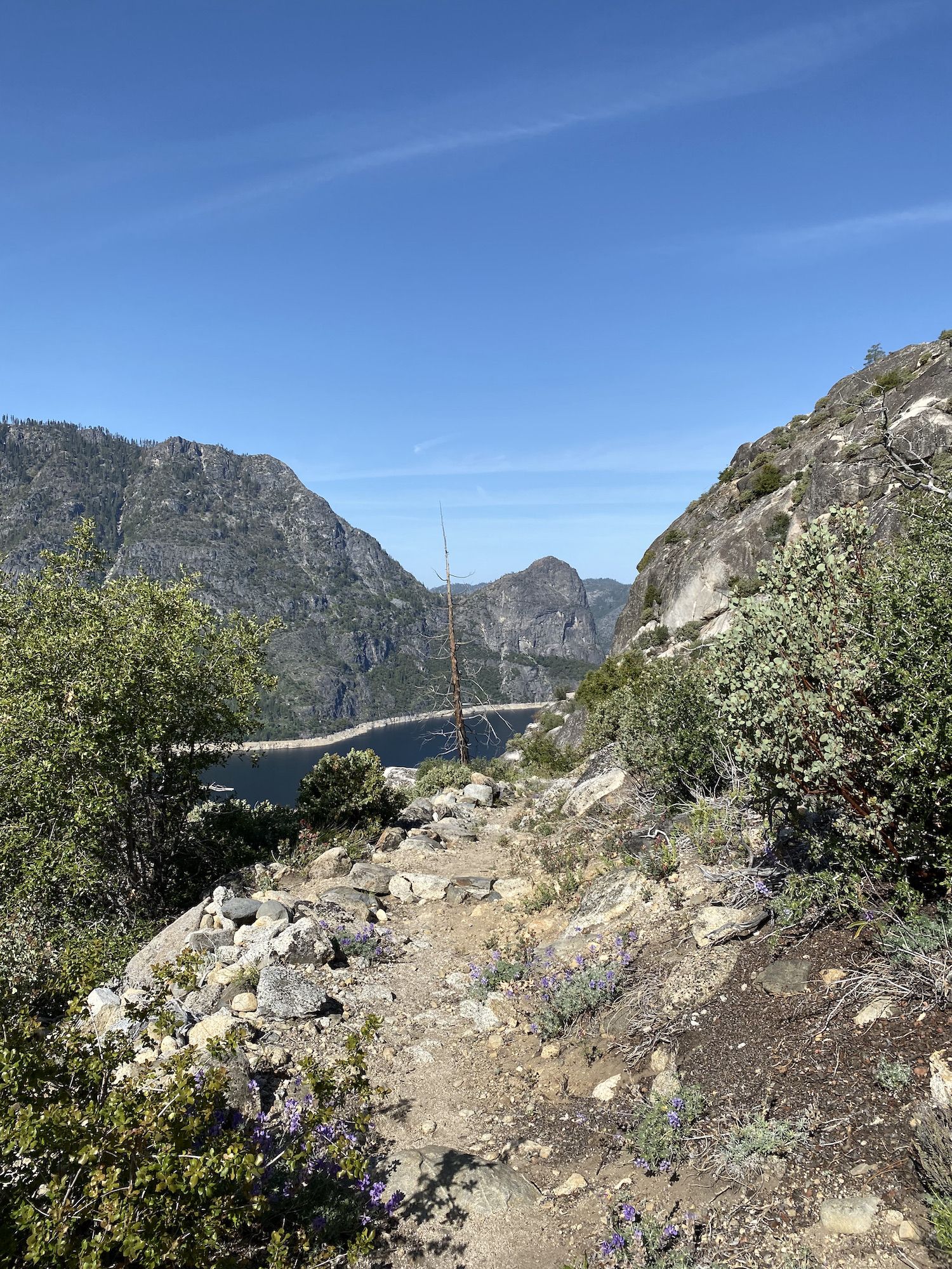 A blue lake in the distance. A rocky trail with wildflowers in the foreground.