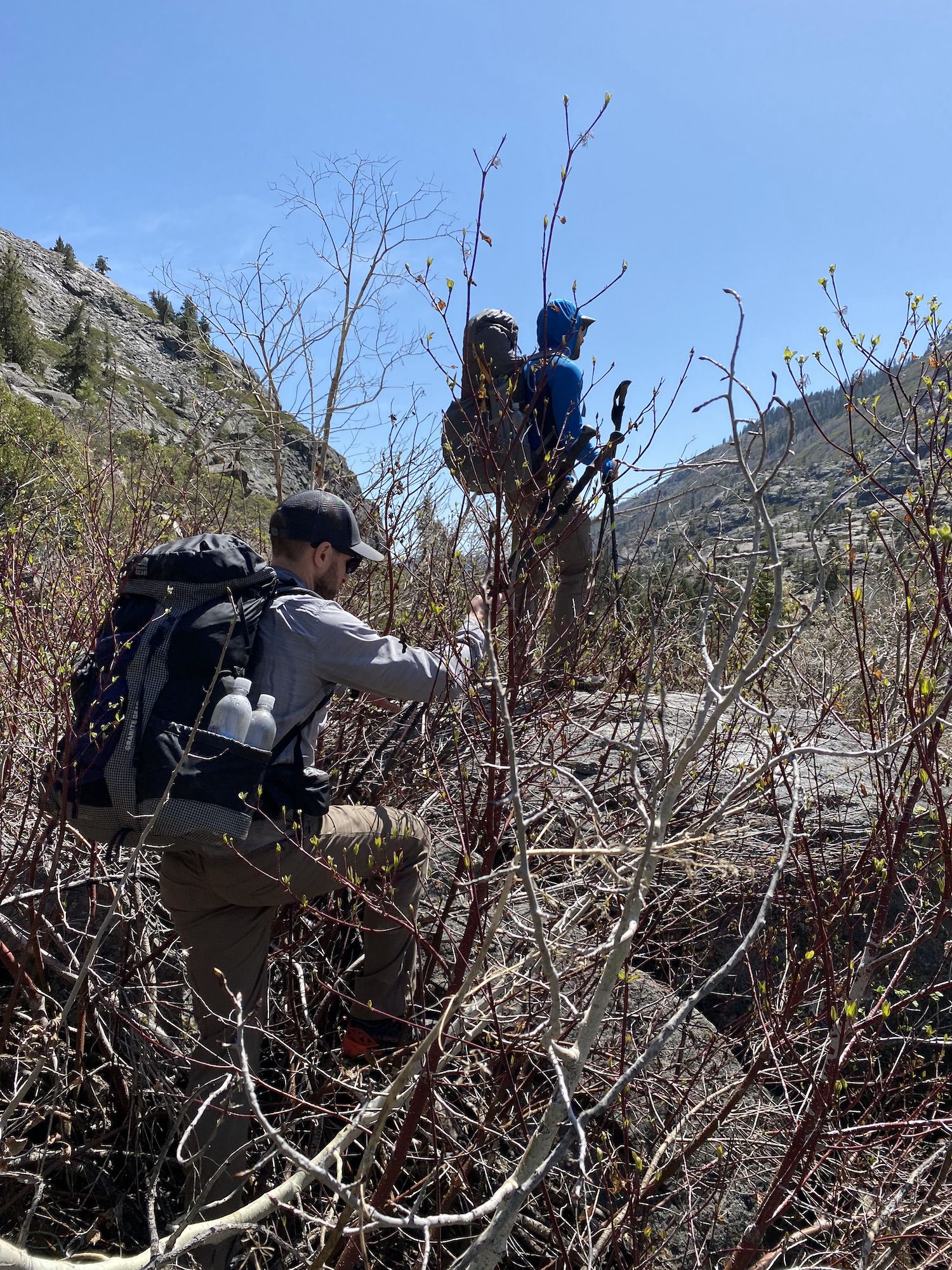 Two men walking through thick brush