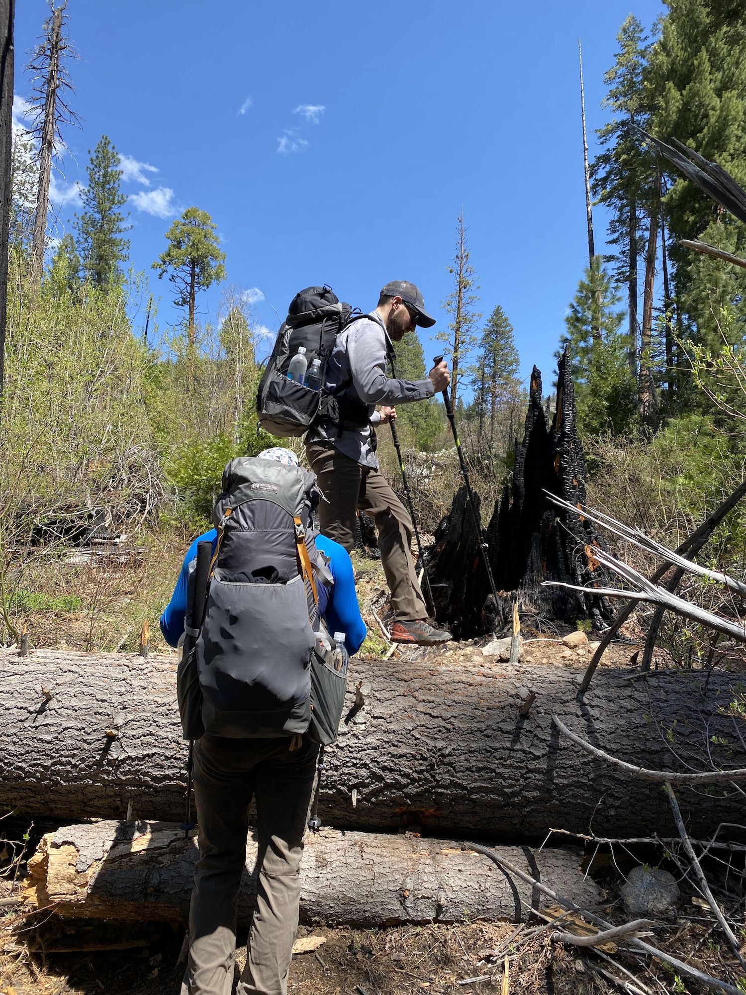 A man climbing over a fallen tree. 