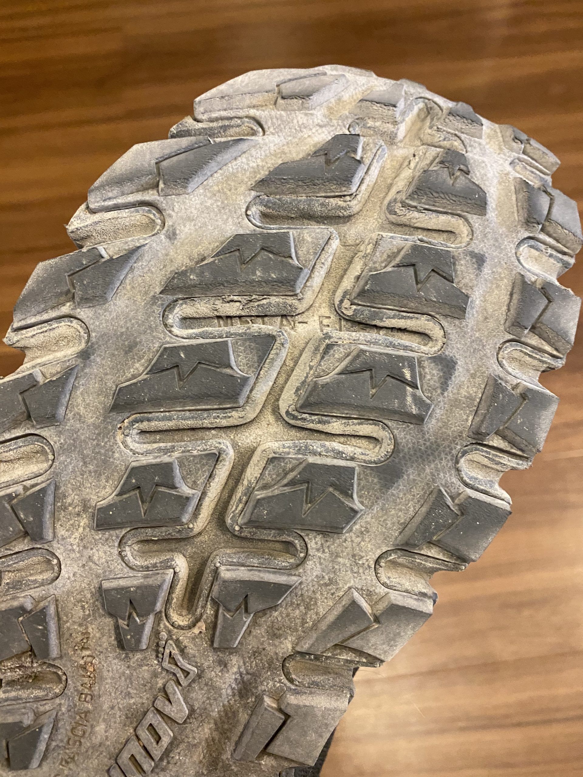 Review: the sole of the shoes have held up well after 100+ miles of rough terrain