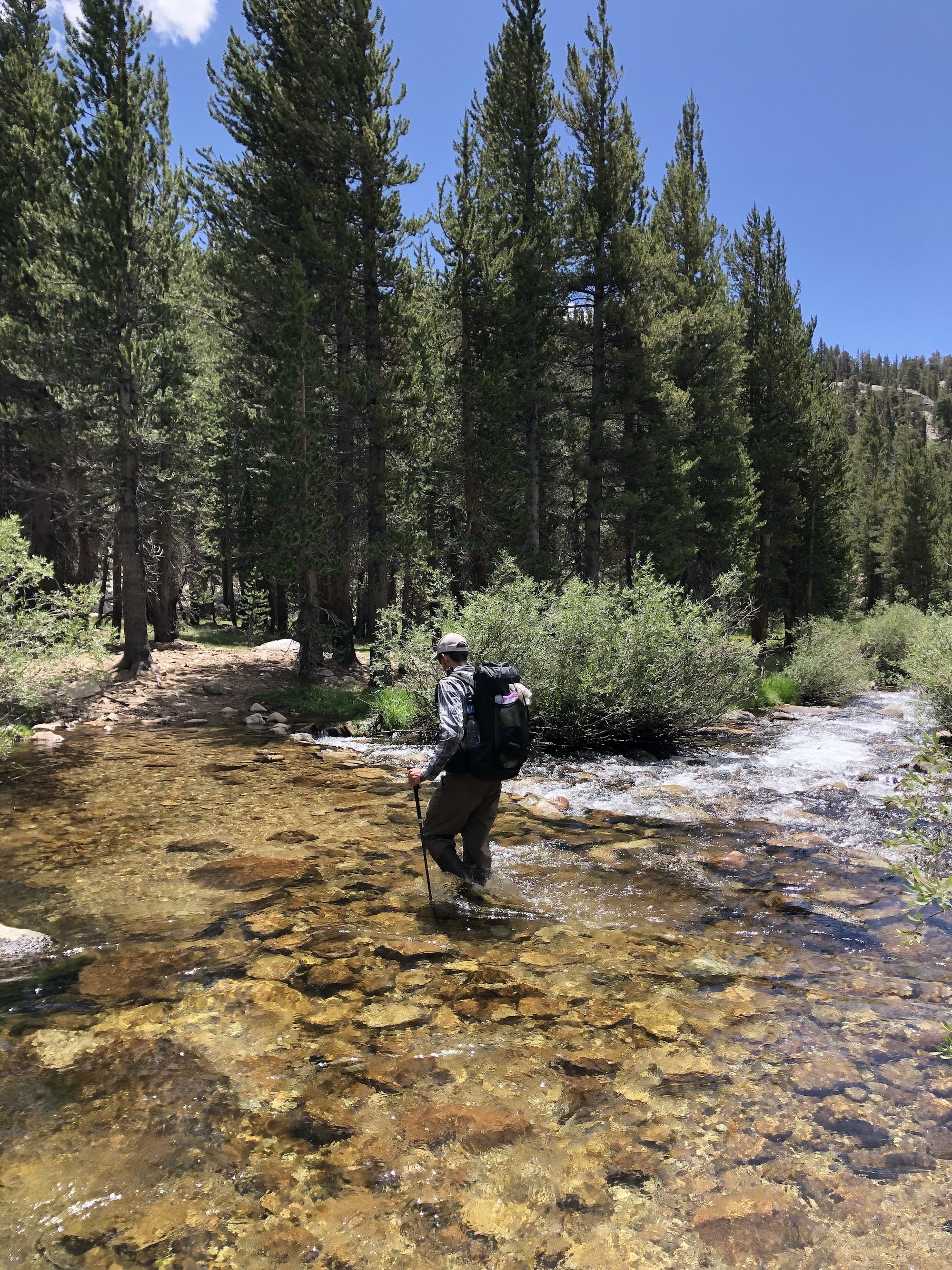A man wading through a creek.