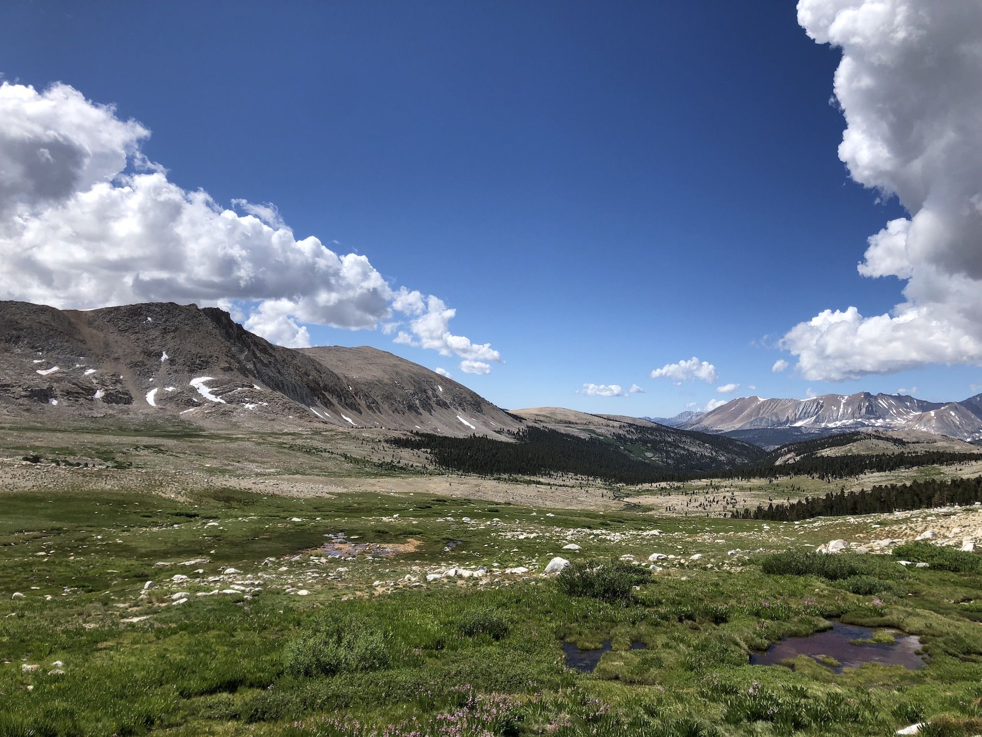 A meadow in the foreground, further down you can see the treeline. 