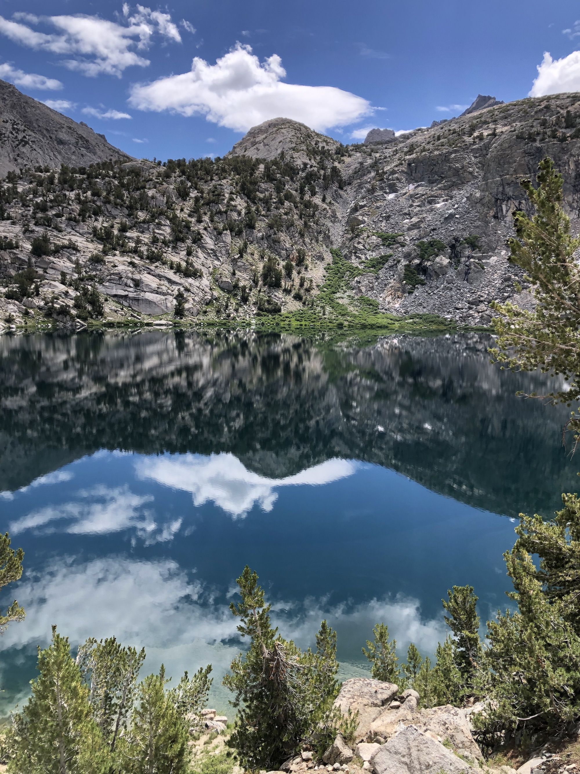 A mirror reflection in the lake