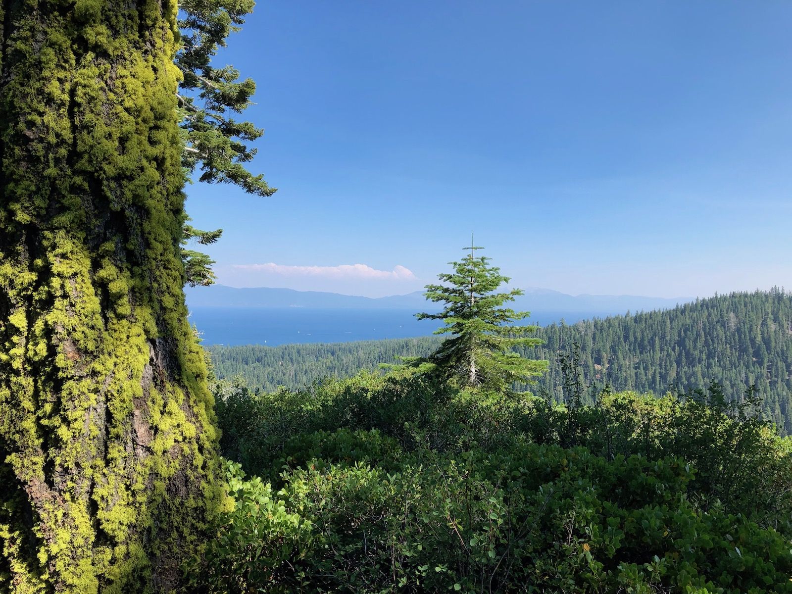 The first views of Lake Tahoe on the Tahoe Rim Trail.