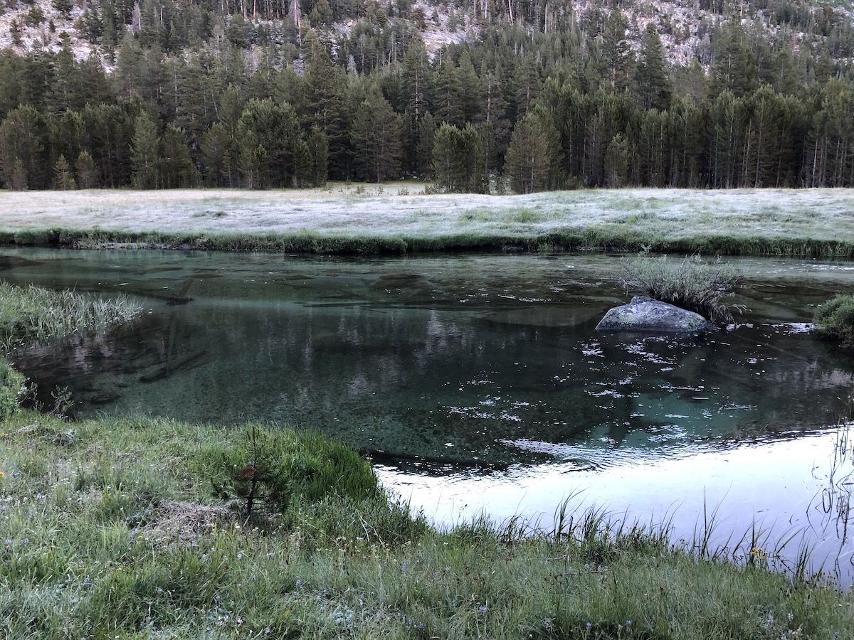 Lyell Fork in the morning.