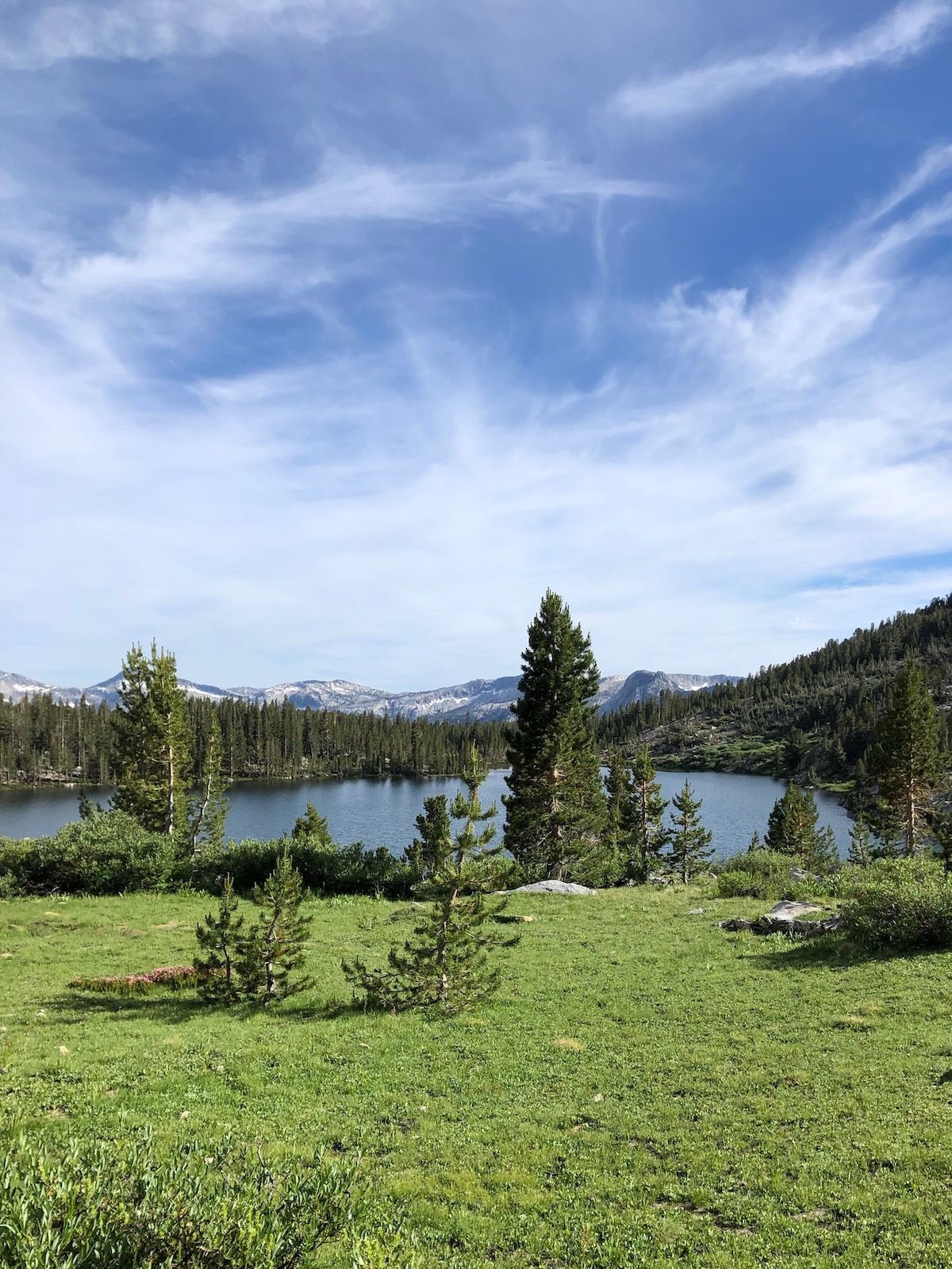 A meadow above Sallie Keyes Lakes.