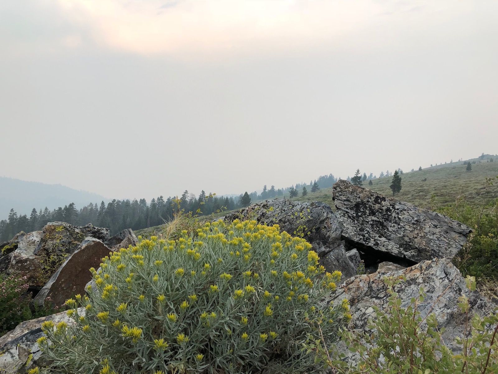 no views of lake tahoe