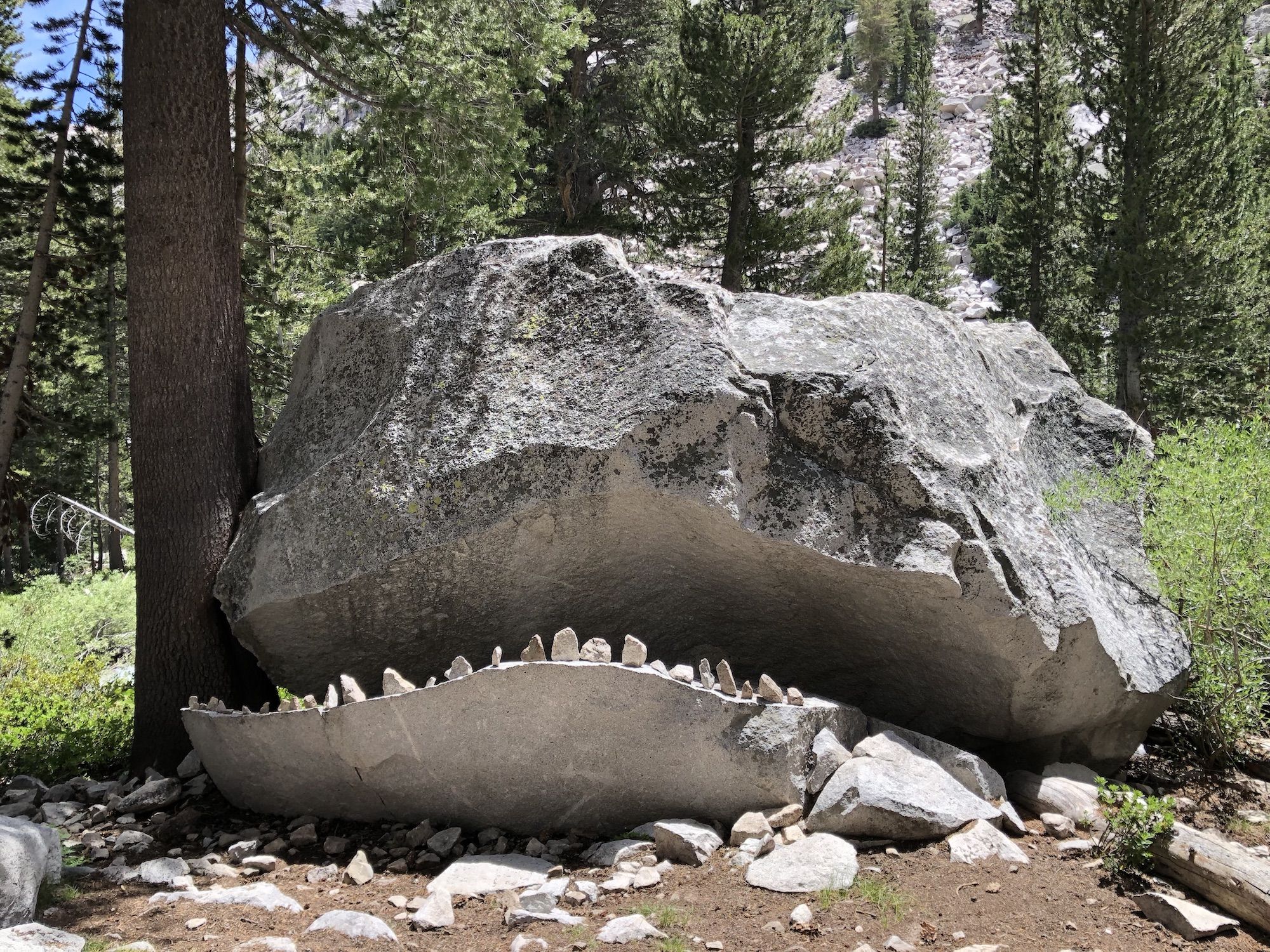 The Le Conte rock monster: a split rock that looks like a mouth, with small rocks placed to look like teeth