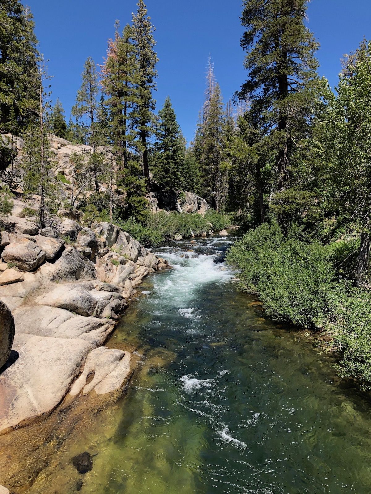 The San Joaquin River before Red's.