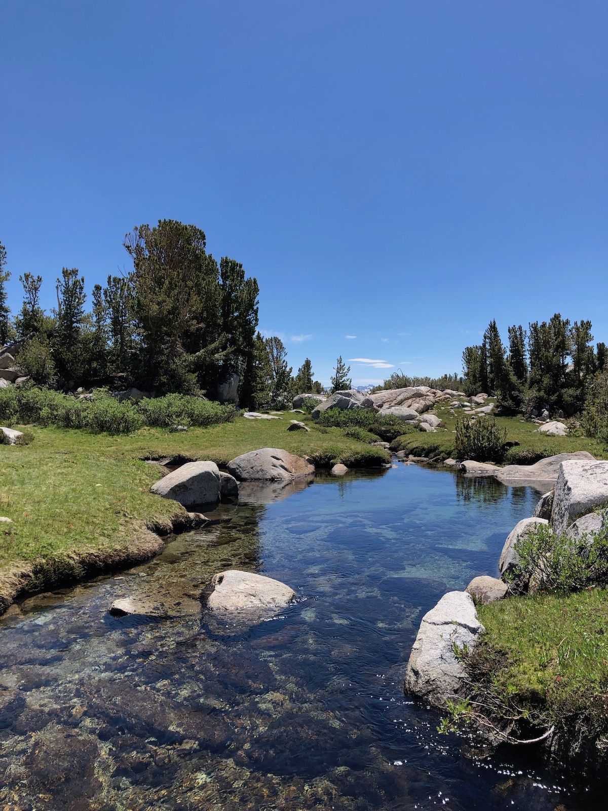 Beautiful alpine meadows on the South side of Donohue.