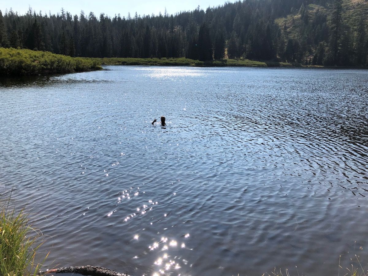 Swimming in Richardson Lake.