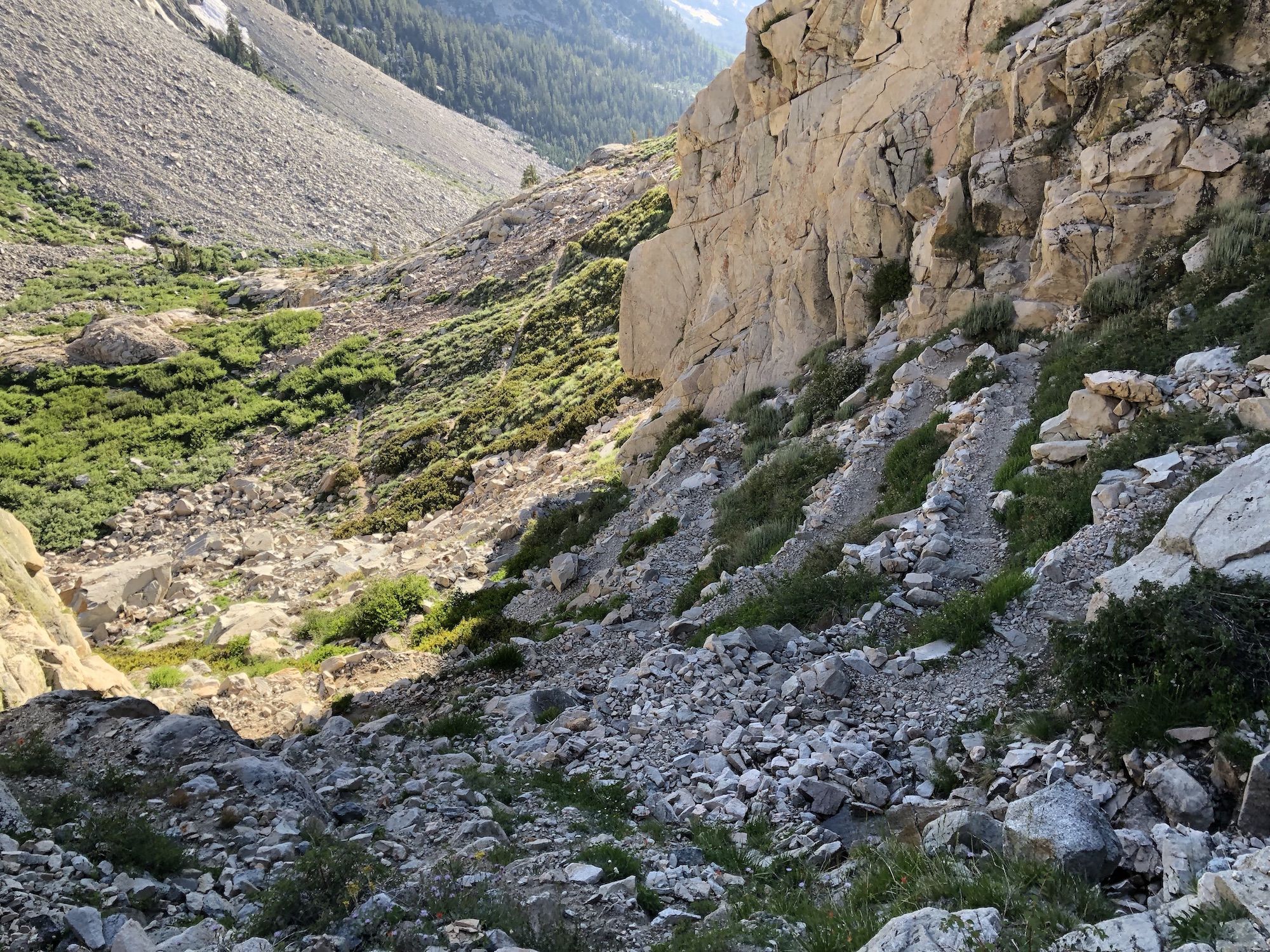 Switchbacks up a steep incline