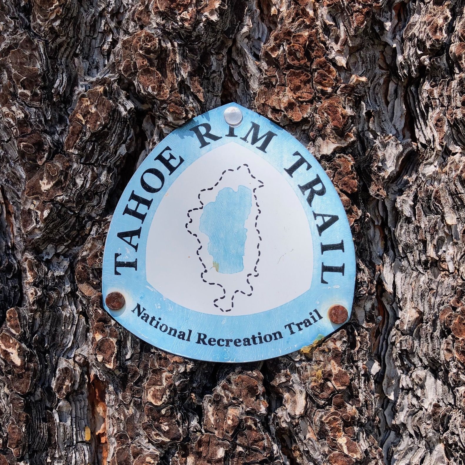 The first TRT blaze on the way to the Tahoe City Trailhead.