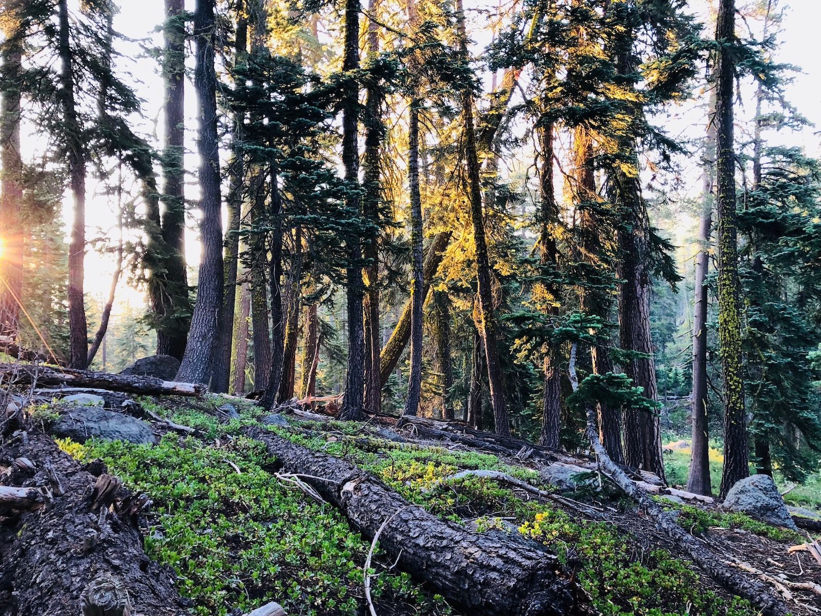 Sunrise at Watson Lake on the TRT.