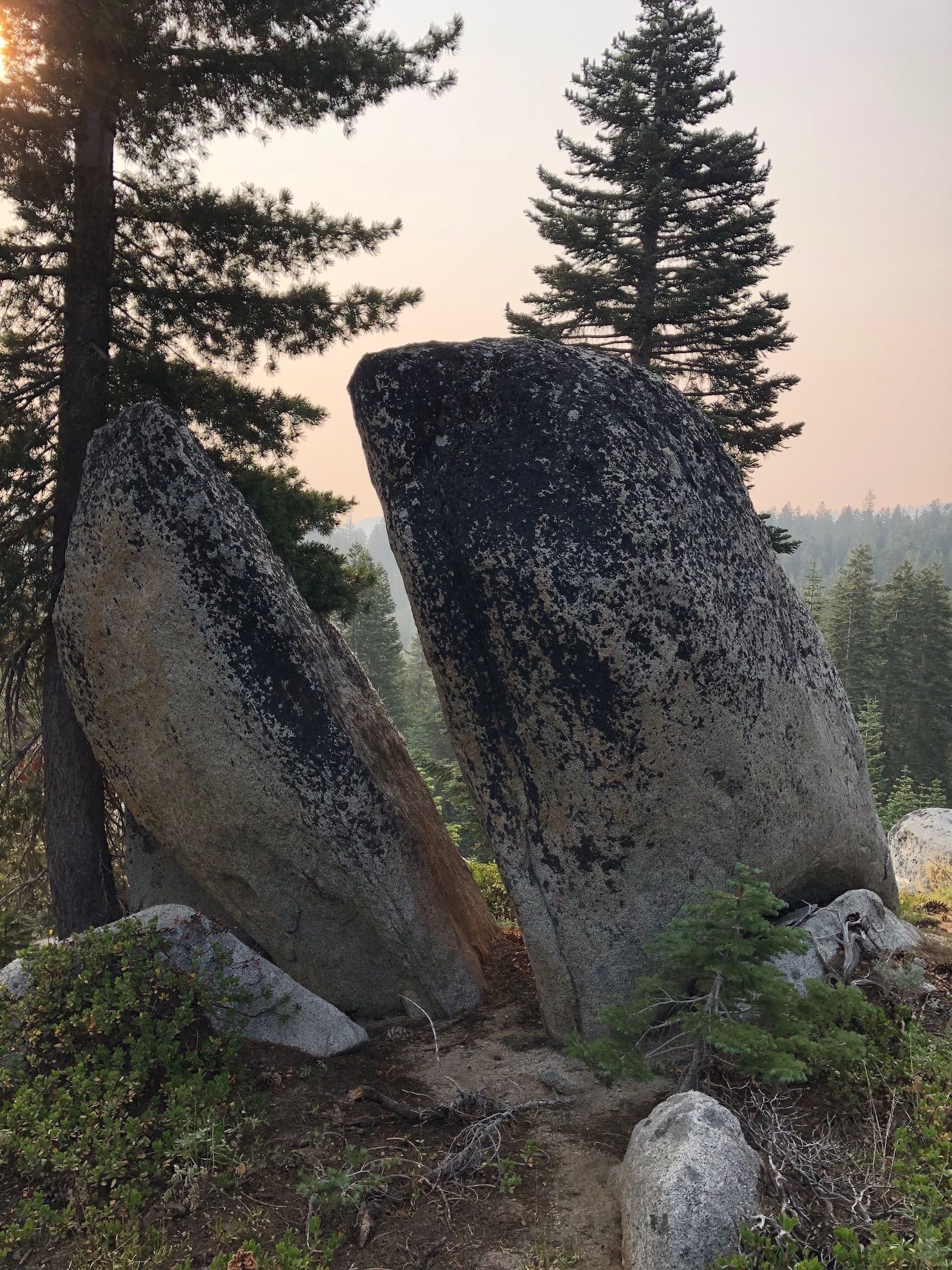 A cool rock that looks like a whale.