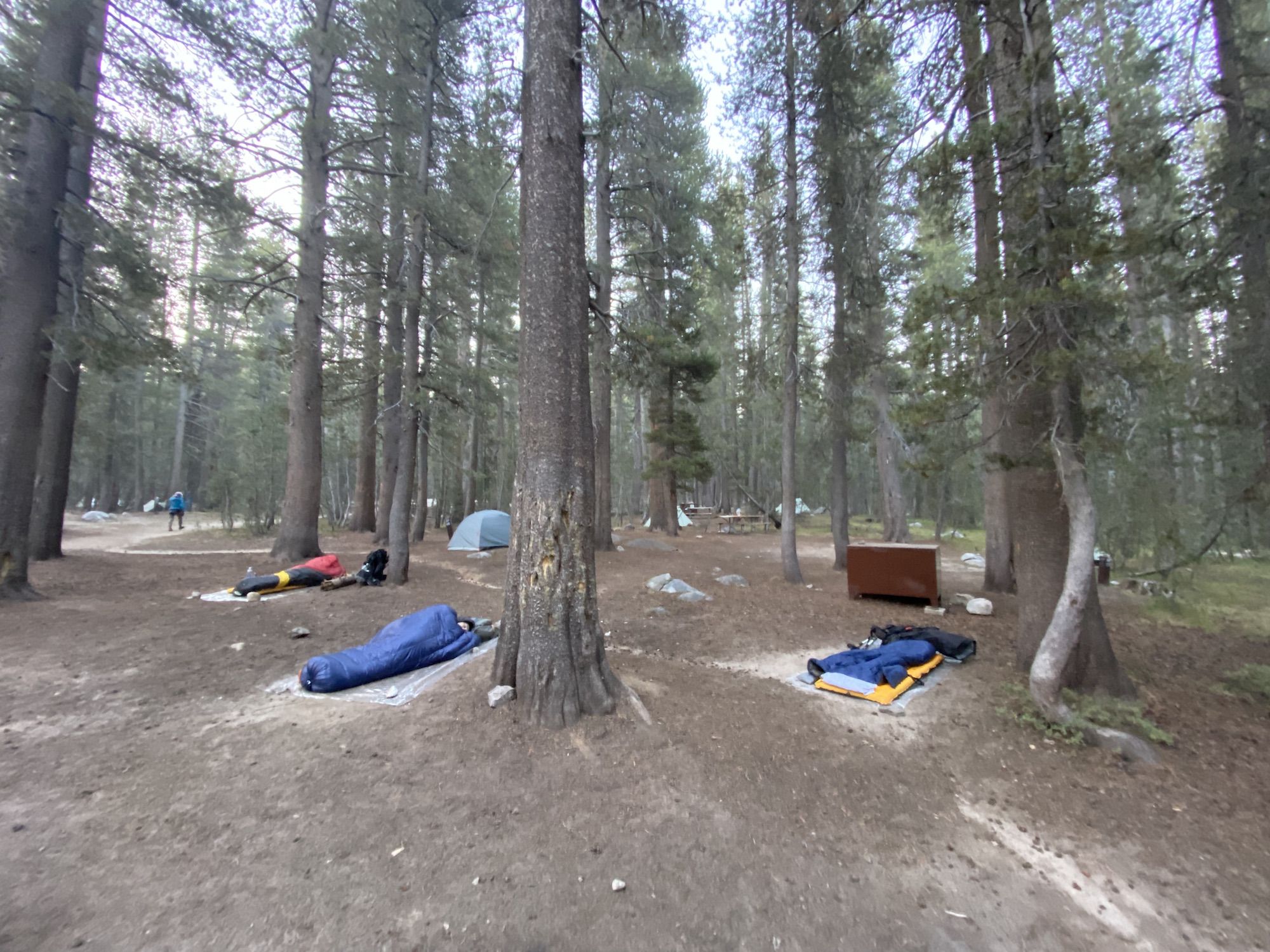 Sleeping bags on top of pads with no tents or tarps.